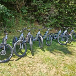 flotte trottinettes